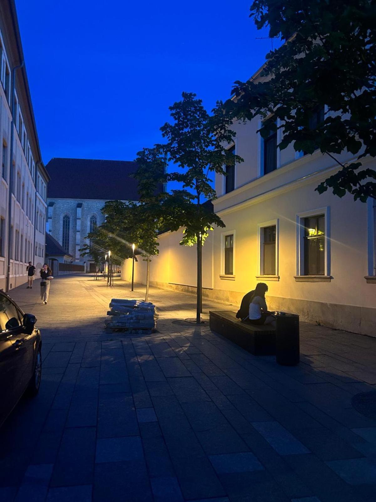 Ferienwohnung Strada Ion I. C. Bratianu Nr.24 Cluj-Napoca Exterior foto